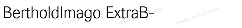 BertholdImago ExtraB字体转换